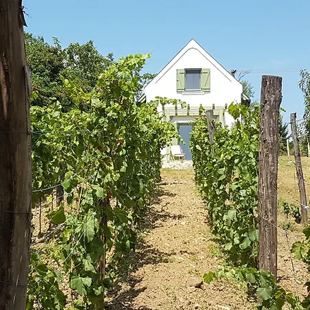 Feriehus Grand Cru 2. Vendeghaz
