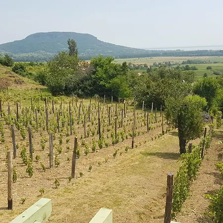 Feriehus Grand Cru 2. Vendeghaz